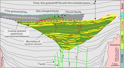 Thrust Faults Promoted Hydrocarbon Leakage at the Compressional Zone of Fine-Grained Mass-Transport Deposits